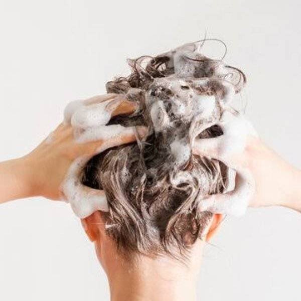 Shampoo