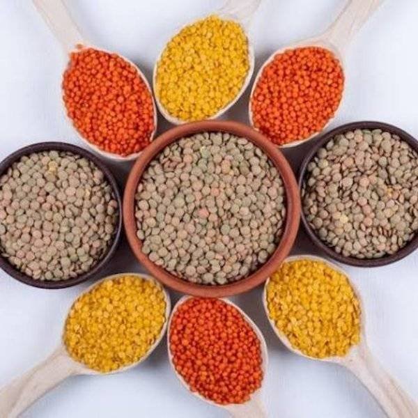 Lentils