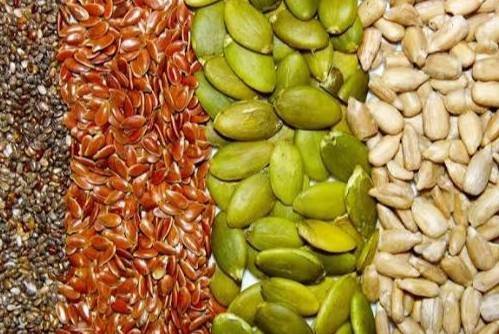 Seeds