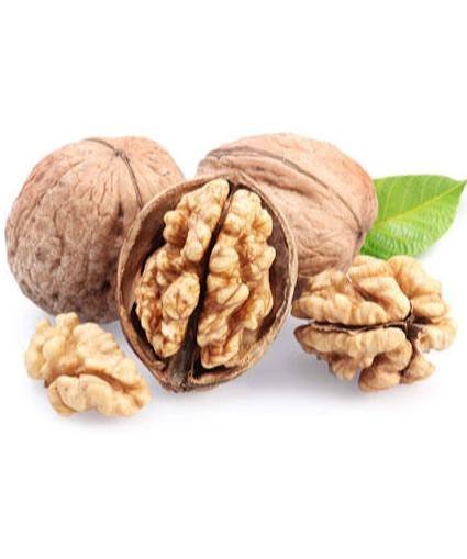 Walnut 