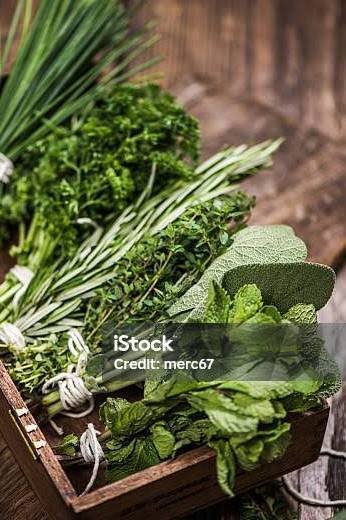 Herbs