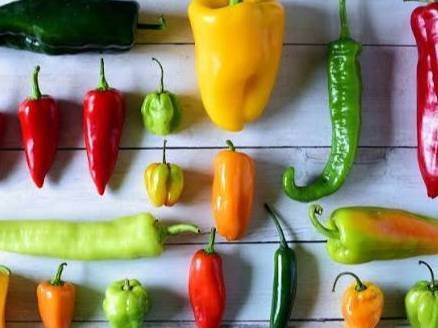 Chili 