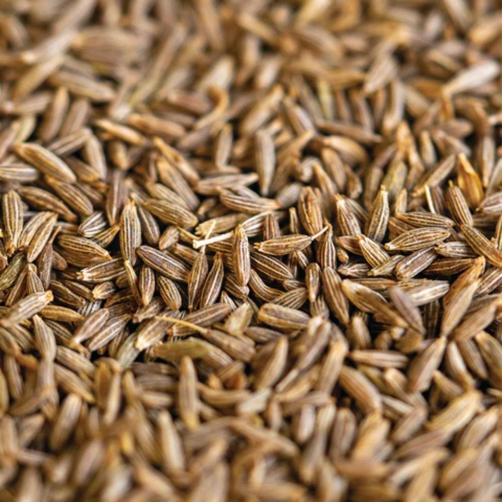Small Whole Cumin Seeds