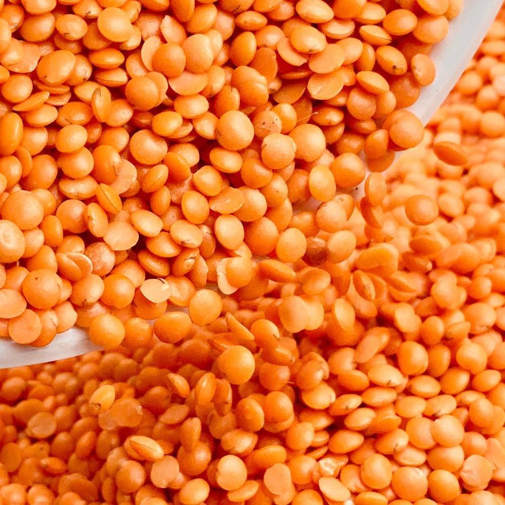 Daal Masoor Red