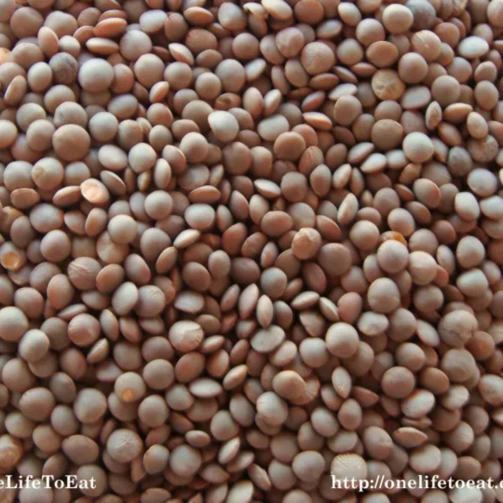 Daal Masoor Brown