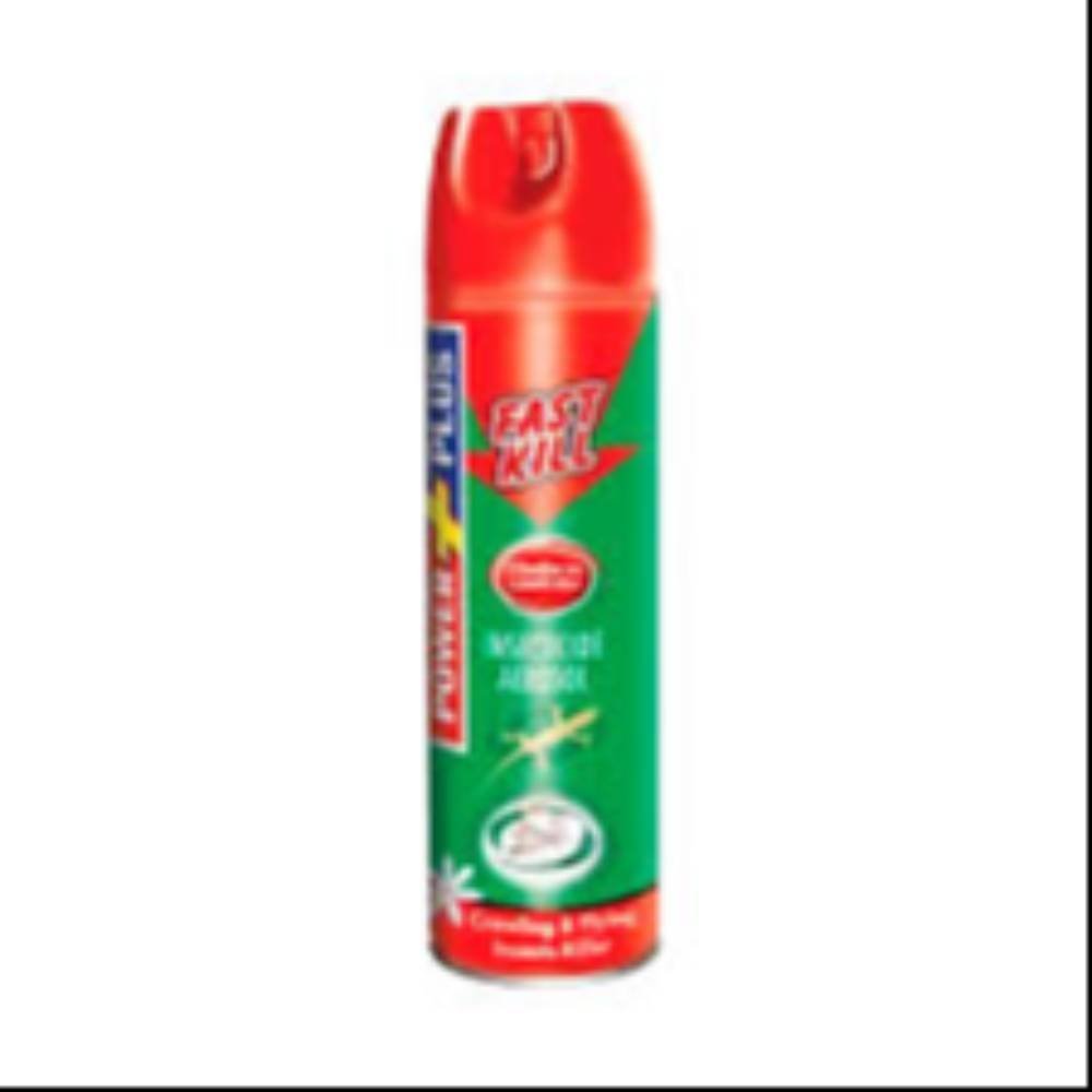 Fast Kill Insecticide Aerosol